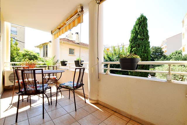 l'alcyon saint Raphael